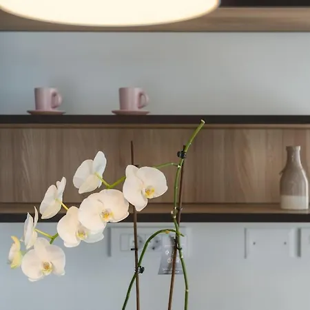 Marcante - Designer, Romantic Pool View * Poreč