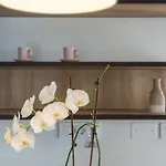 Marcante - Designer, Romantic Pool View * Пореч